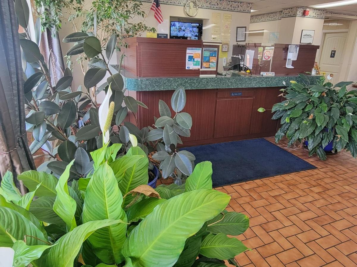 Studio 9 Inn&Suites Decatur Esterno foto